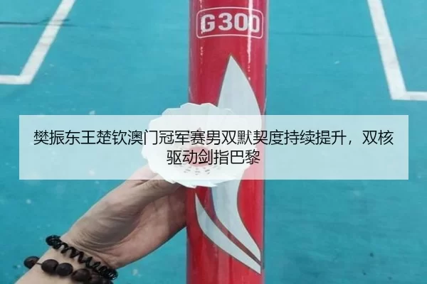fan-zhen-dong-wang-chu-qin-ao-men-guan-jun-sai-nan-shuang-mo-qi-du-chi-xu-ti-sheng-shuang-he-qu-dong-jian-zhi-ba-li-2-613.jpg