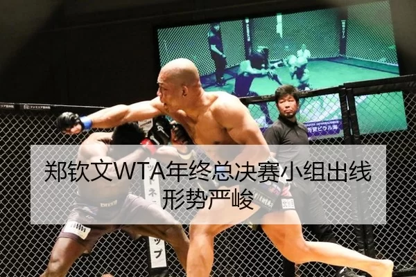 郑钦文WTA年终总决赛小组出线形势严峻