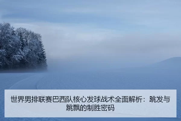 shi-jie-nan-pai-lian-sai-ba-xi-dui-he-xin-fa-qiu-zhan-shu-quan-mian-jie-xi-tiao-fa-yu-tiao-piao-de-zhi-sheng-mi-ma-2-190.jpg