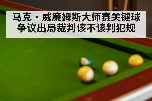 马克·威廉姆斯大师赛关键球争议出局裁判该不该判犯规